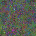 World at epoch 115000