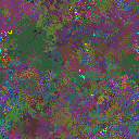 World at epoch 125000