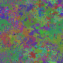 World at epoch 115000