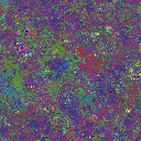 World at epoch 63000
