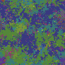 World at epoch 80000