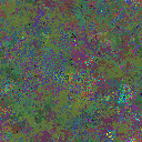 World at epoch 136000