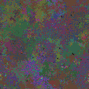World at epoch 156000