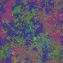 World at epoch 80000