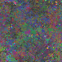World at epoch 79000