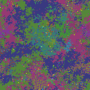 World at epoch 81000