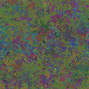 World at epoch 149000