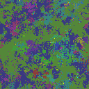 World at epoch 95000