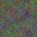 World at epoch 155000