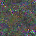 World at epoch 95000