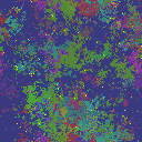 World at epoch 95000