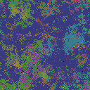 World at epoch 78000