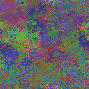 World at epoch 80000
