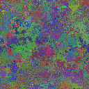 World at epoch 81000