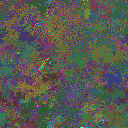 World at epoch 125000