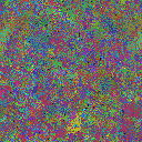 World at epoch 79000