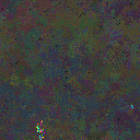 World at epoch 64000