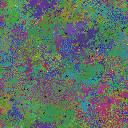 World at epoch 95000