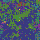 World at epoch 115000