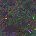 World at epoch 75000