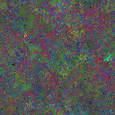 World at epoch 130000