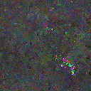 World at epoch 76000