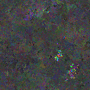 World at epoch 77000