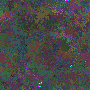 World at epoch 77000