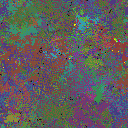 World at epoch 116000