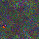 World at epoch 80000