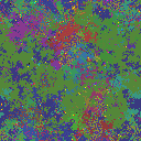 World at epoch 137000