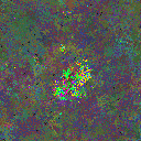 World at epoch 149000