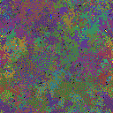 World at epoch 125000