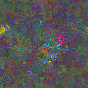 World at epoch 150000