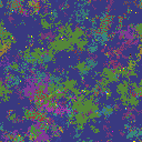 World at epoch 135000