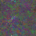 World at epoch 155000