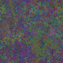 World at epoch 157000