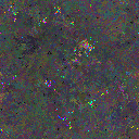 World at epoch 95000