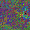 World at epoch 137000