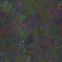 World at epoch 79000