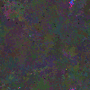 World at epoch 80000