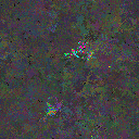 World at epoch 74000