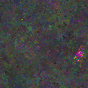 World at epoch 76000