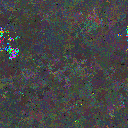 World at epoch 79000