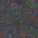 World at epoch 135000