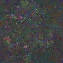 World at epoch 82000