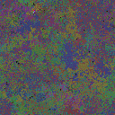 World at epoch 79000