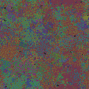 World at epoch 79000