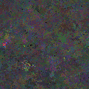 World at epoch 95000