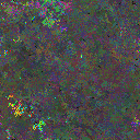 World at epoch 150000